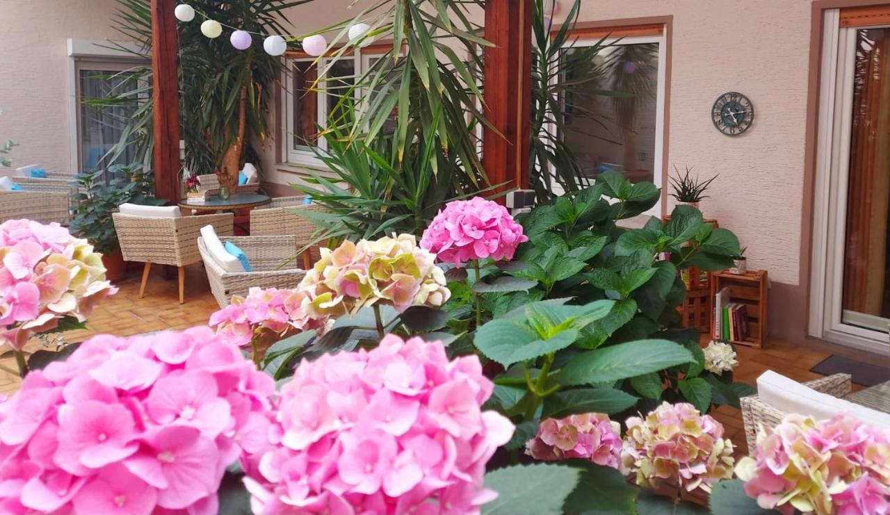 Gaestehaus Roehm Ilbesheim bei Landau in der Pfalz Екстер'єр фото